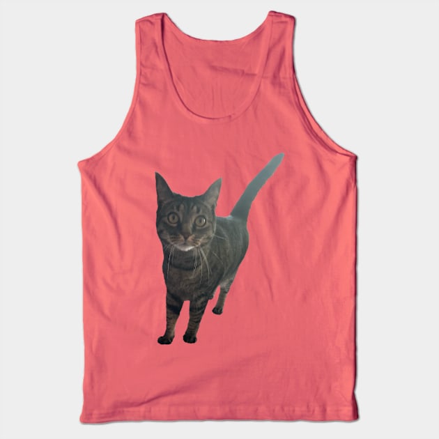 Alert Tabby Tank Top by Amanda1775